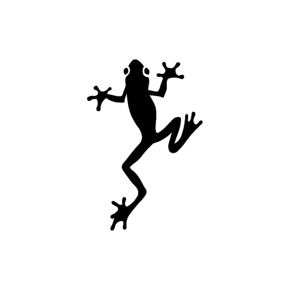 Hylidae 2 x 2 in