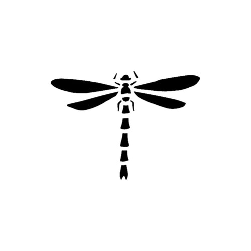 Aeshna 2 x 2 in