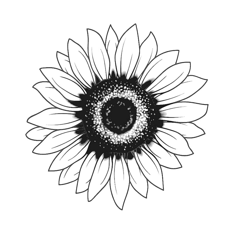 Sun Seeker 4 x 4 in