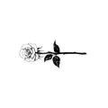 Yours Truly 5 x 2 in
