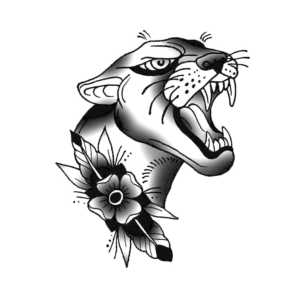 Wildcat 3 x 3 in