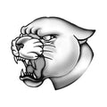 Ferocious 3 x 3 in