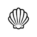 Scallop 1 x 1 in