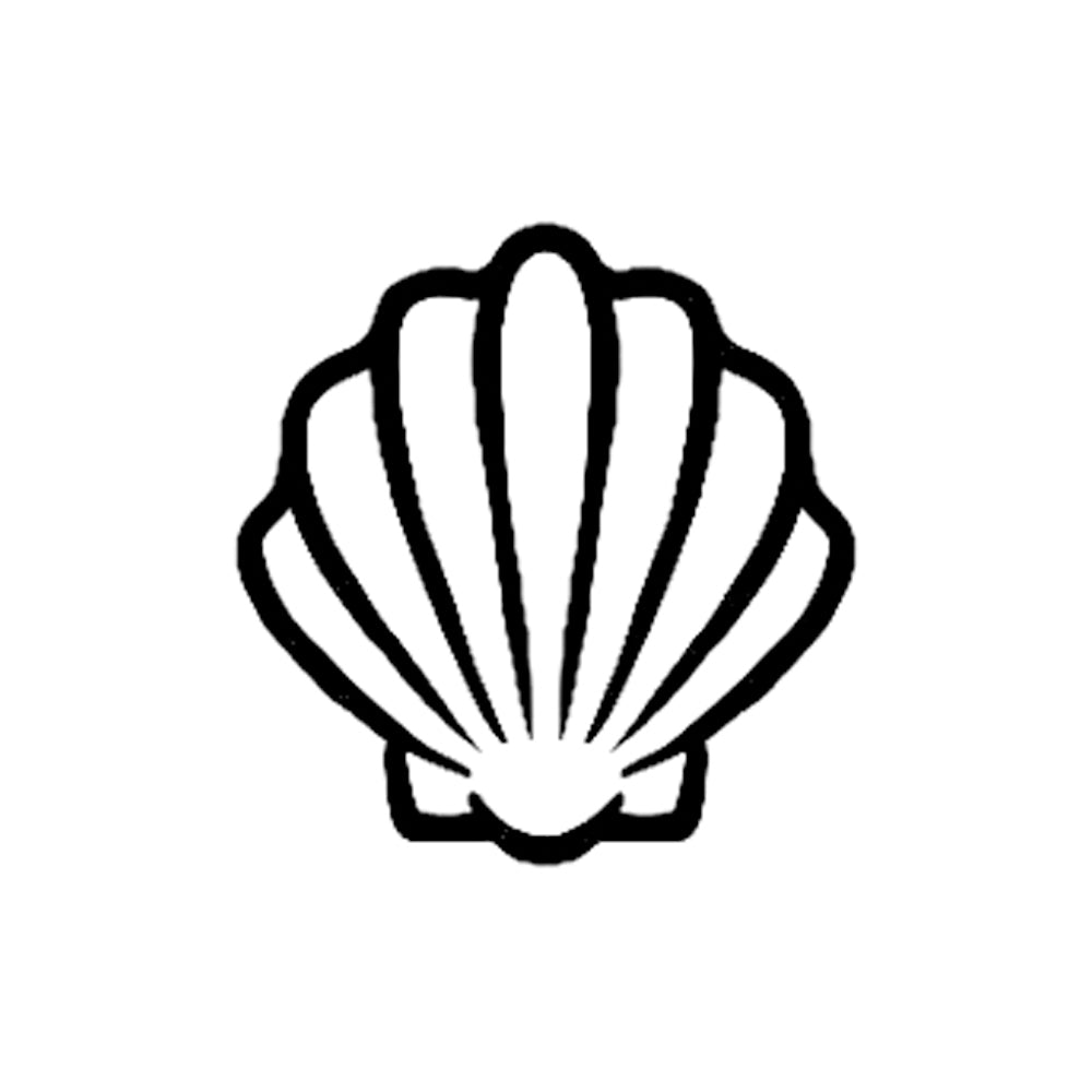 Scallop 1 x 1 in