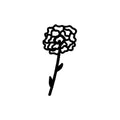 Marigold 1 x 1 in