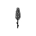 Lupine 1 x 1 in