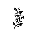 Ivy 1 x 1 in