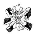 Pomp and Circumstance 3 x 3 in