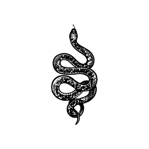 Coiled Viper 6 x 4 in
