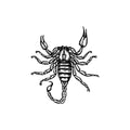 Night Stinger 2 x 2 in