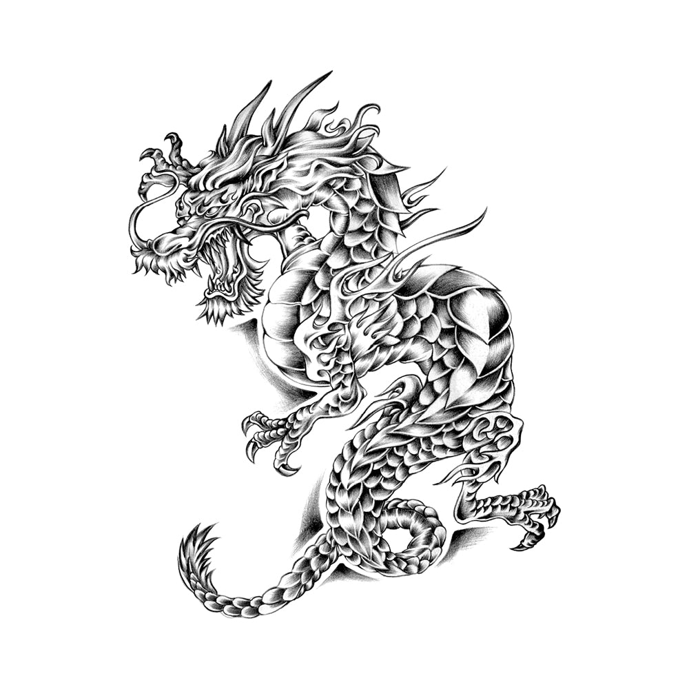 Ancient Dragon 6 x 6 in