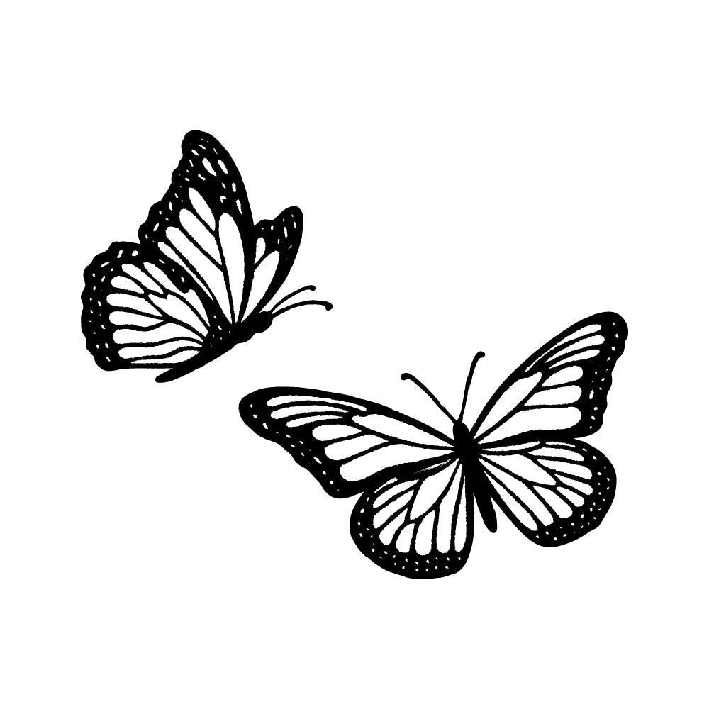 Monarch Duet 2 x 2 in