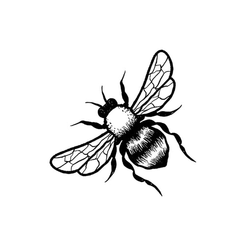 Bumbling Along 2 x 2 in