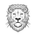 Regal Pride 6 x 6 in