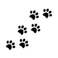Canine 3 x 3 in