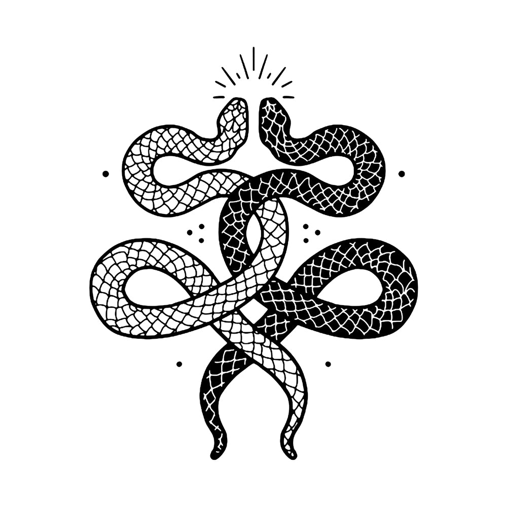 Slithers 6 x 6 in