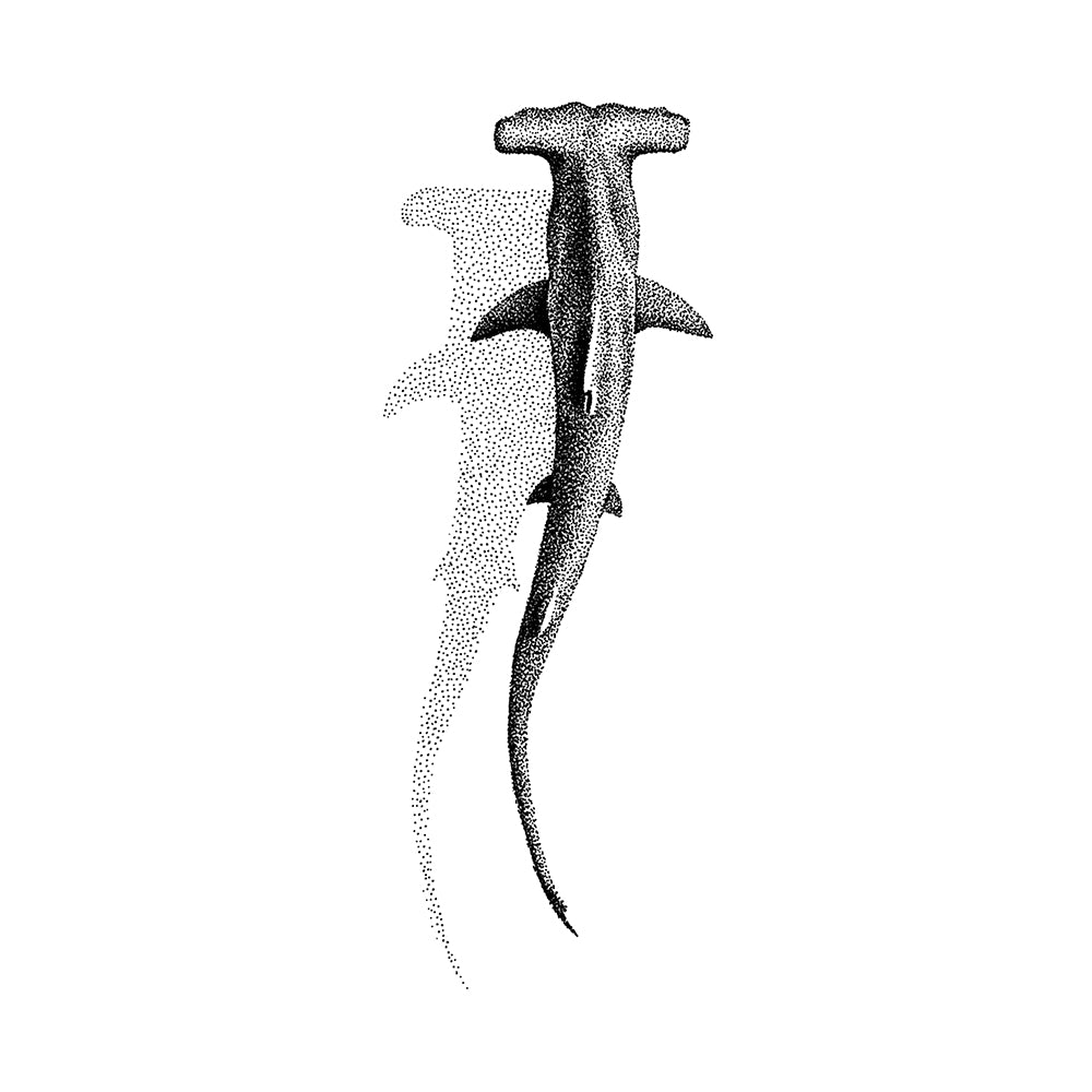 Hammer On 6 x 3 in