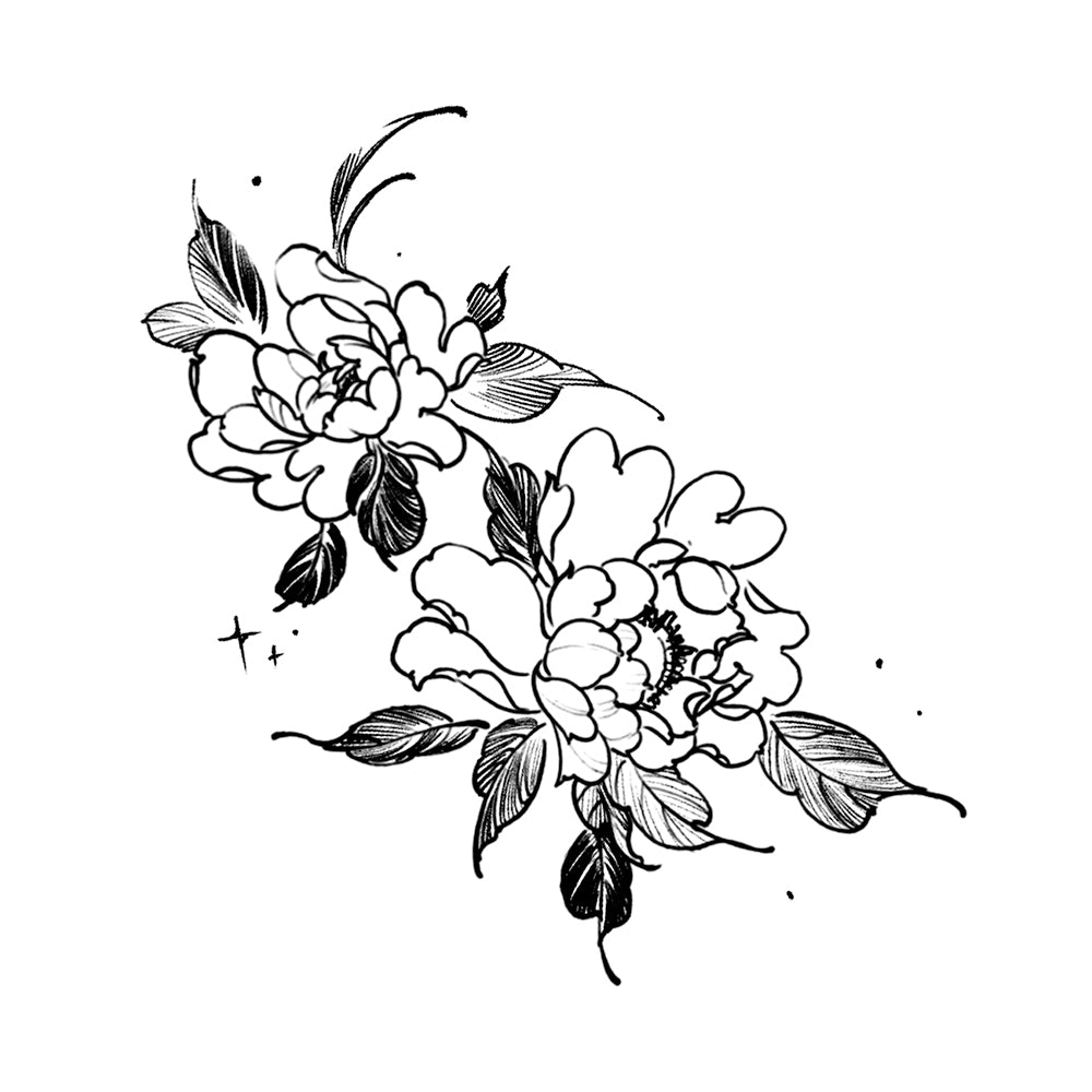 Peony Nights 4 x 4 in