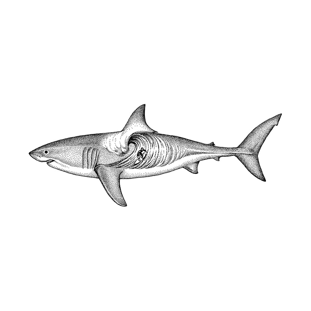 Great White Wave 6 x 3 in
