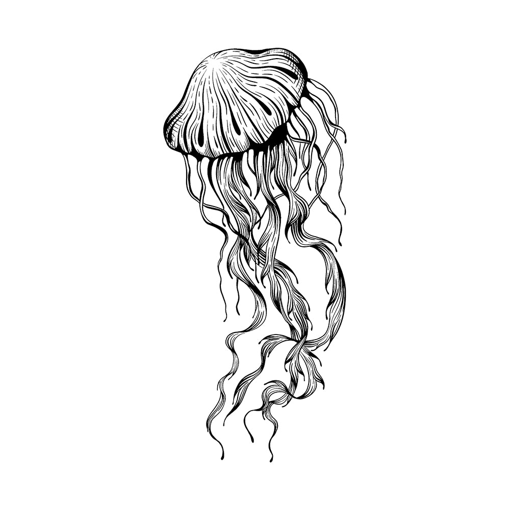 Medusa Flow 6 x 3 in