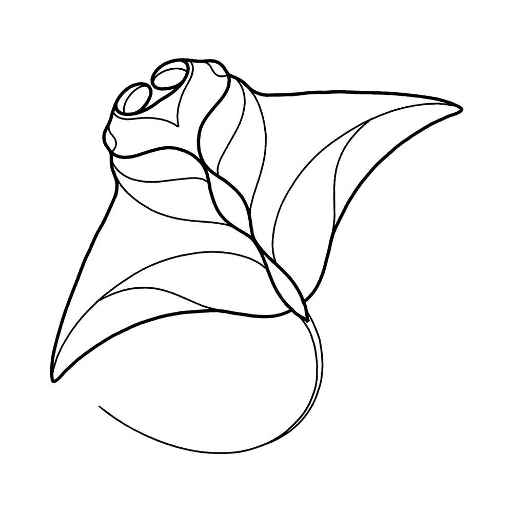 Matty the Manta Ray 4 x 4 in
