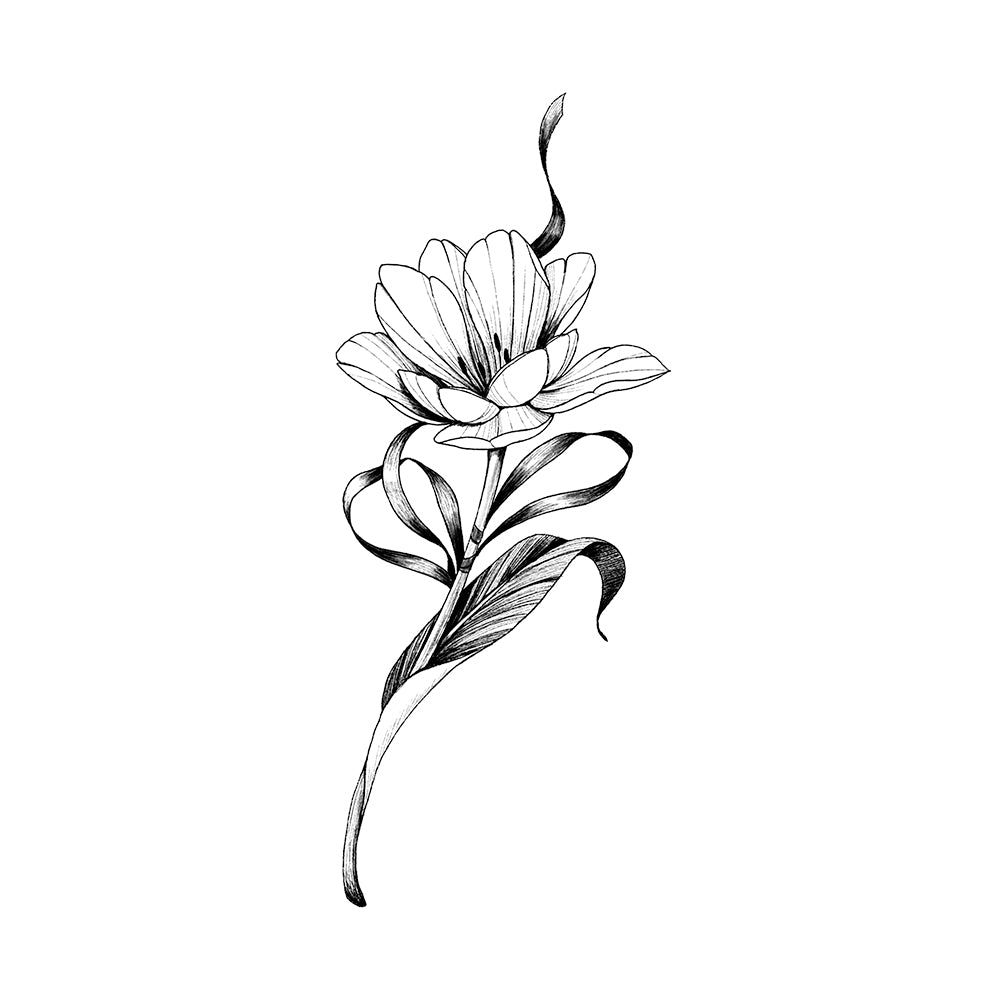 Tulip Ribbon 6 x 3 in