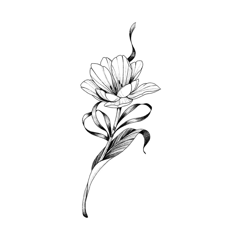 Tulip Ribbon 6 x 3 in