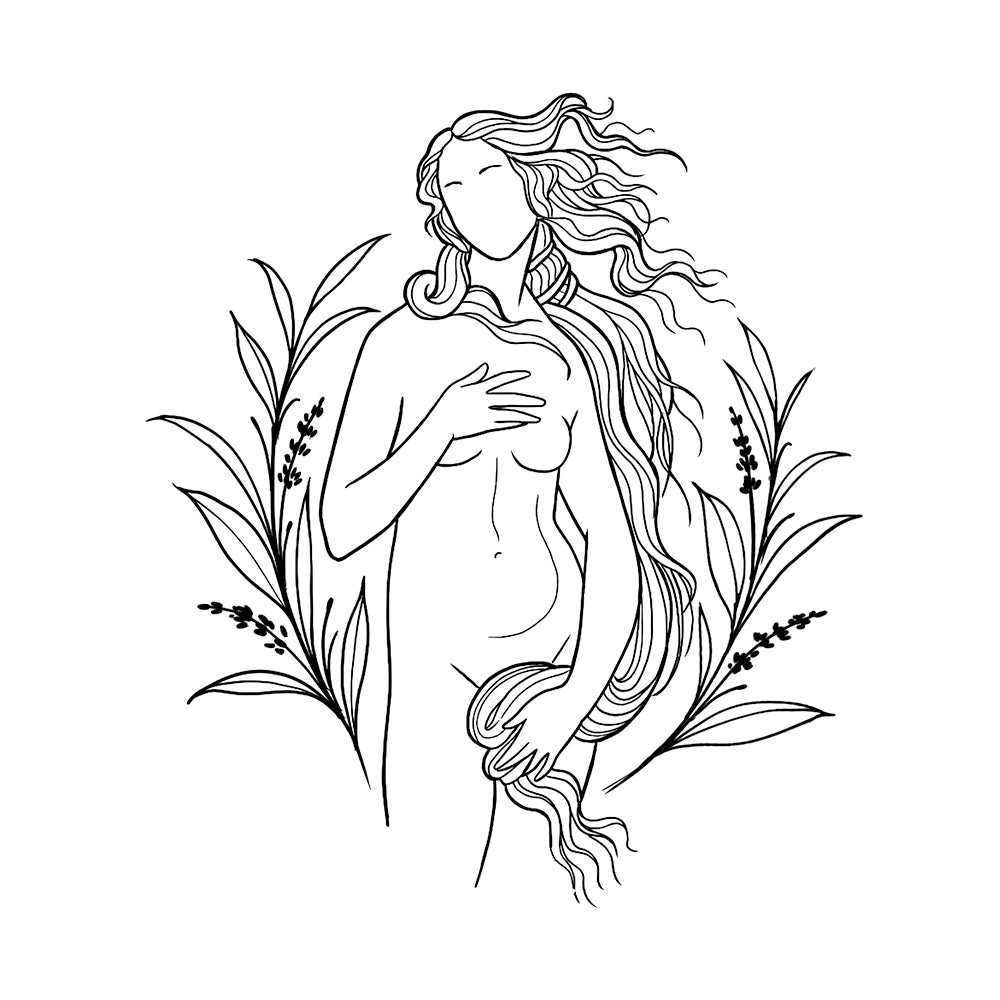 Venus 6 x 6 in