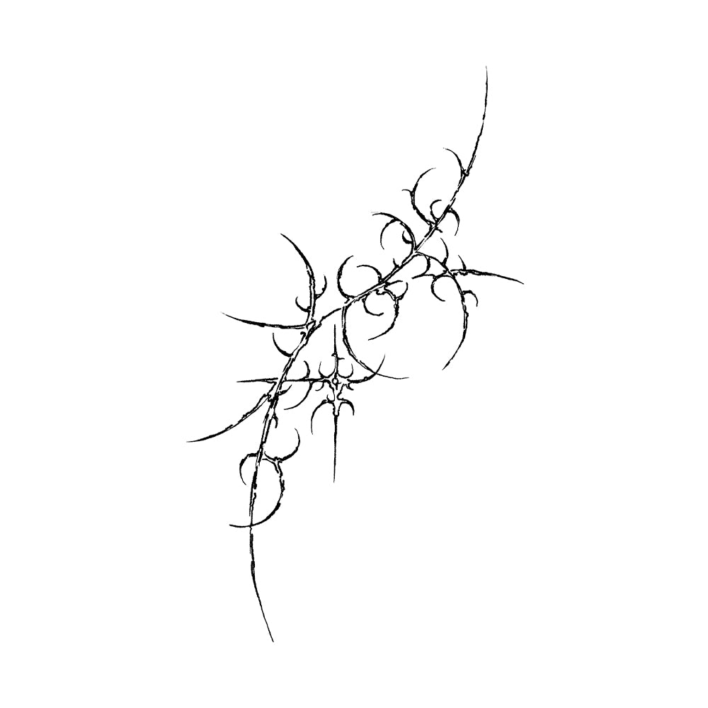 Silent Thorn 6 x 4 in