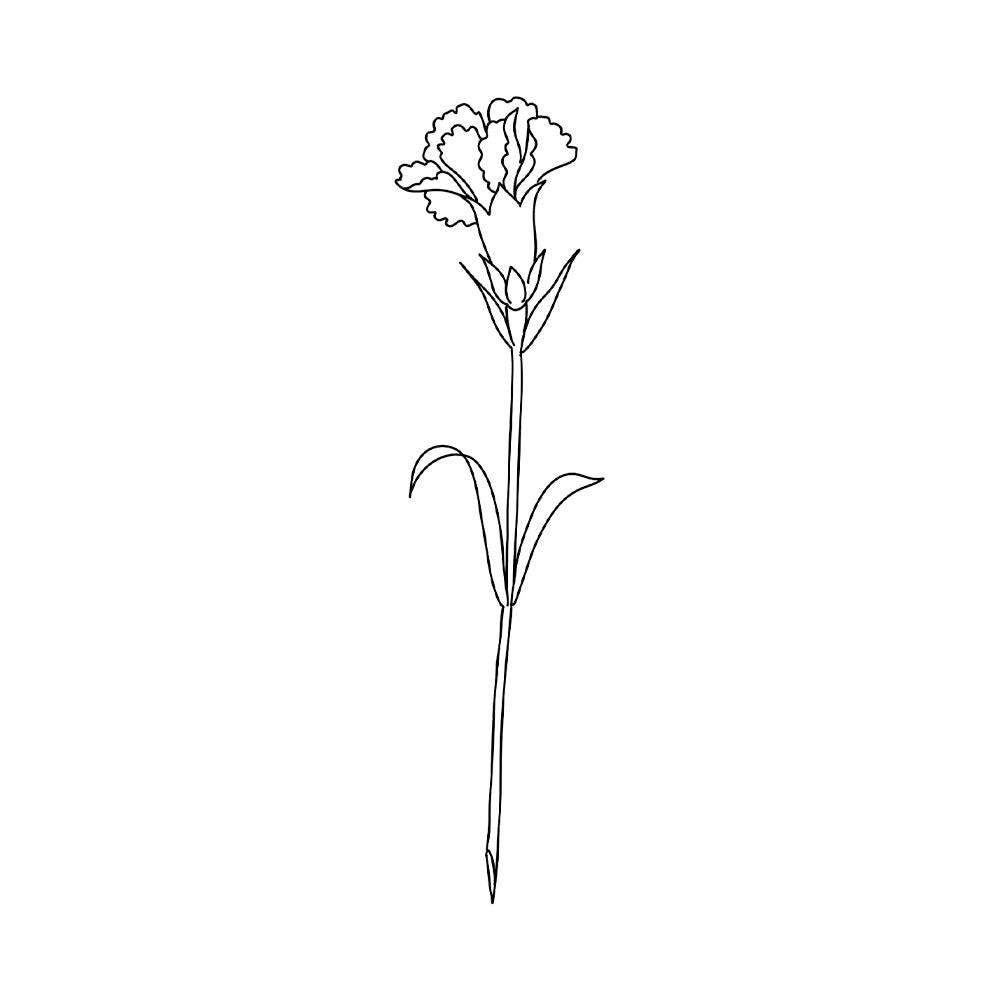 Carnation Stem 5 x 2 in
