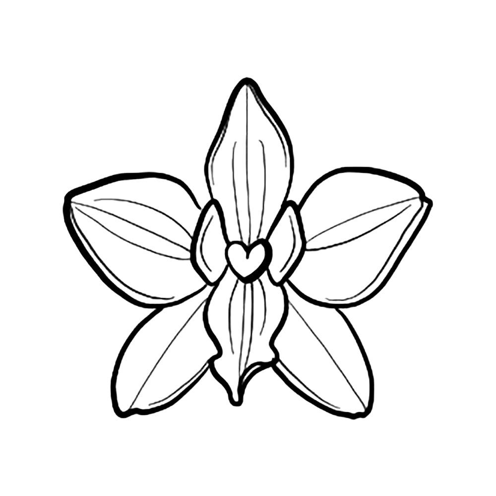 Orchid Bloom 3 x 3 in