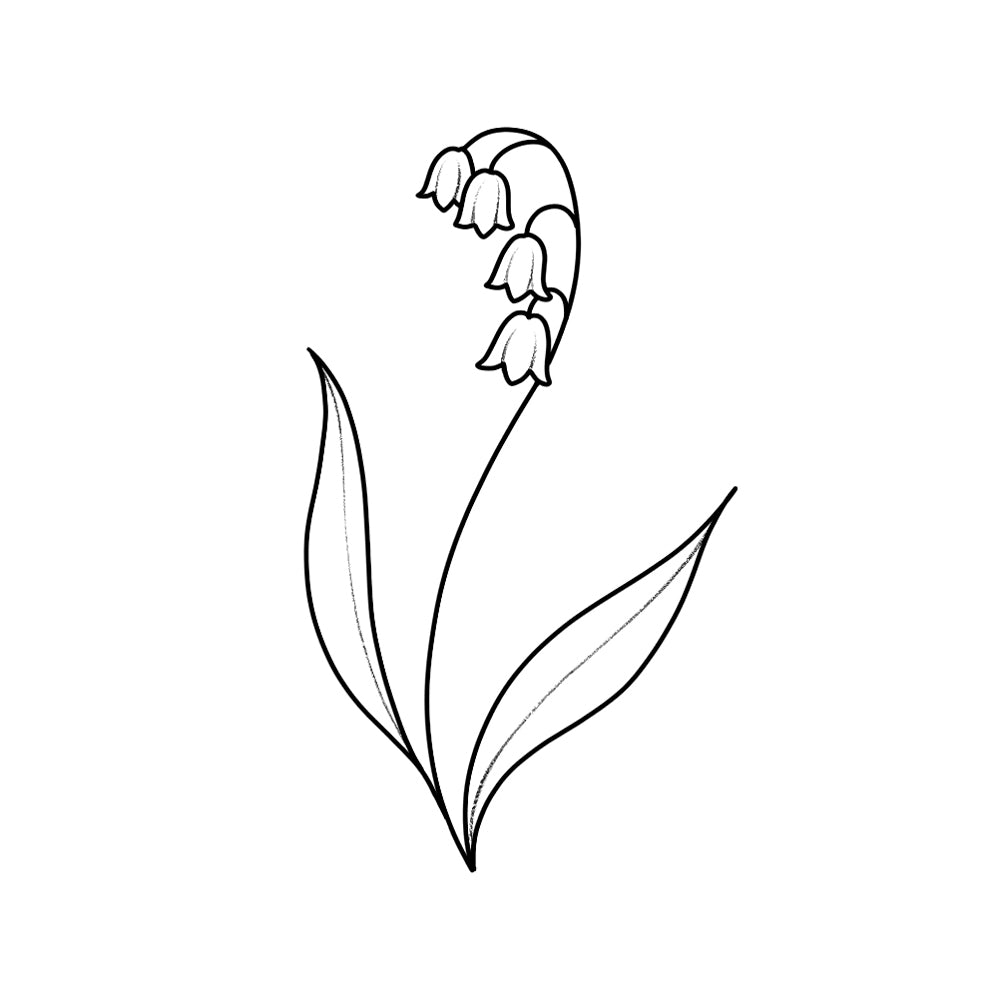 Lily of the Valley 3 x 3 in