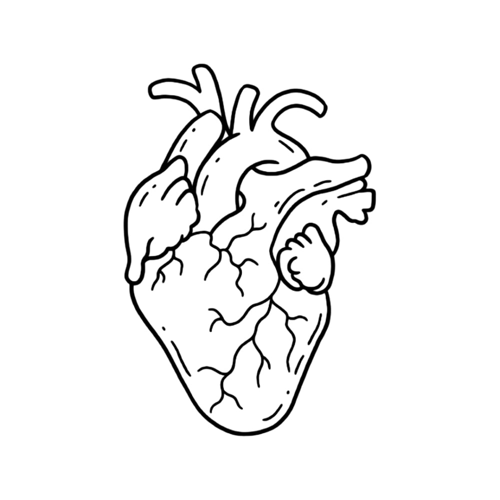 Anatomical Love 3 x 3 in