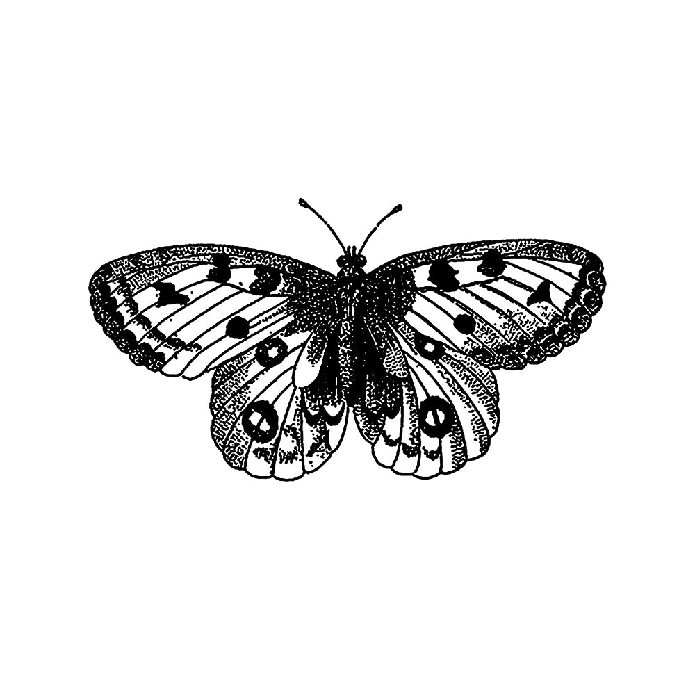 Graceful Wings 3 x 3 in