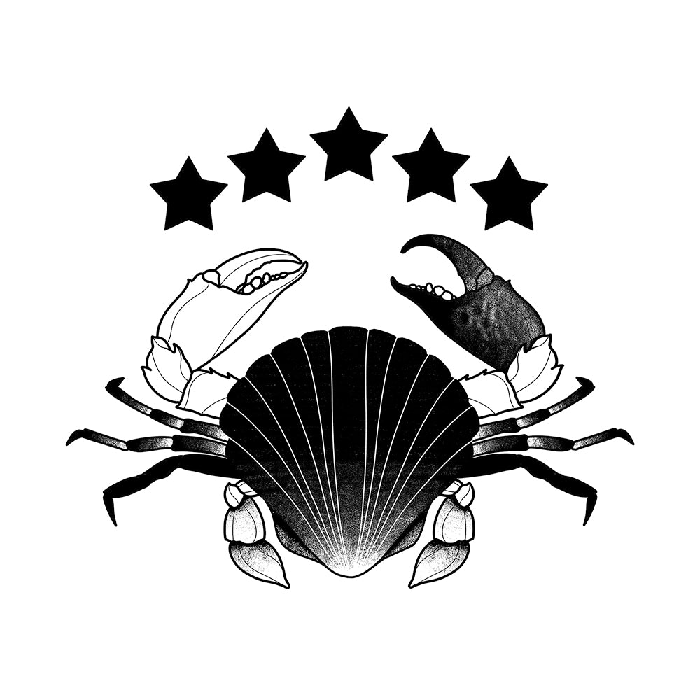 Stellar Shell 6 x 6 in