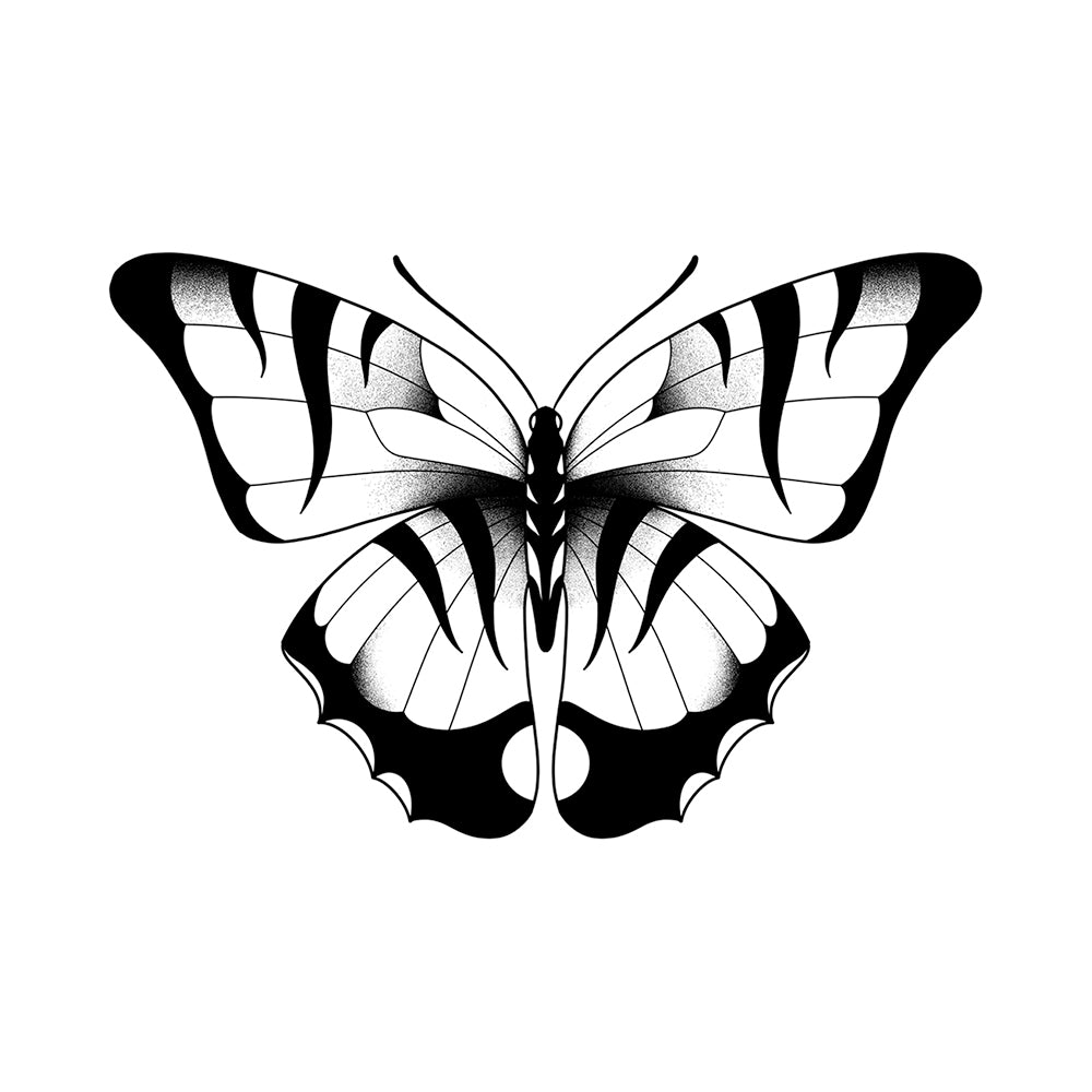 Tiger-Striped Butterly 4 x 4 in