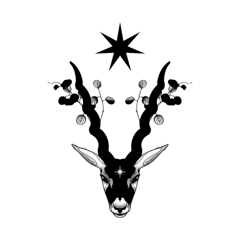 Wild Spirit 6 x 6 in