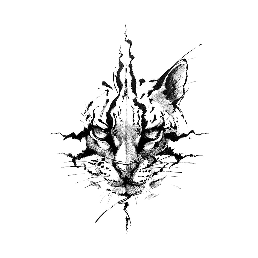 Untamed 6 x 6 in