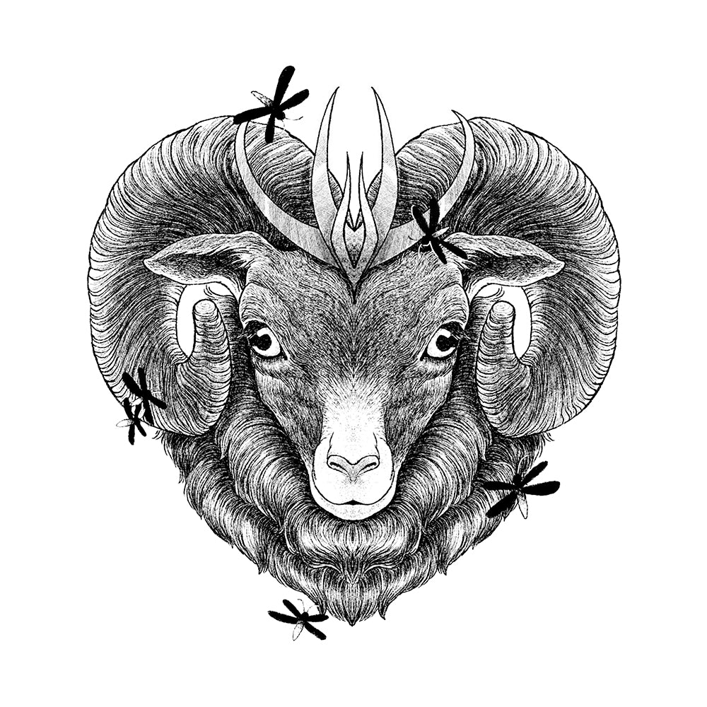 Fearless Aries 6 x 6 in