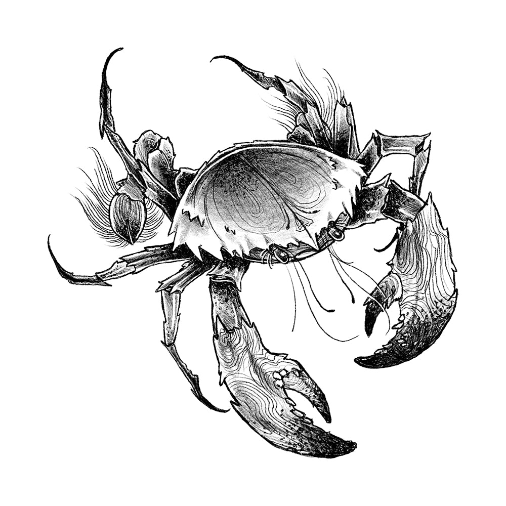 Crabby Cancer 6 x 6 in