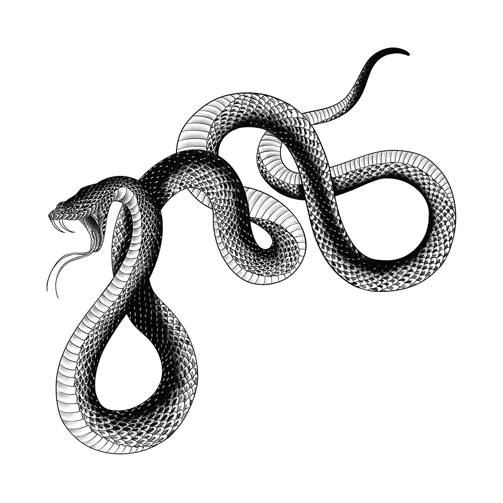 Winding Body 6 x 6 in