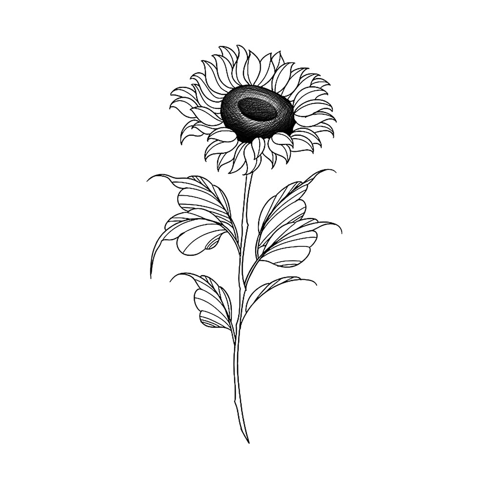 Sunflower in Motion 6 x 3 in