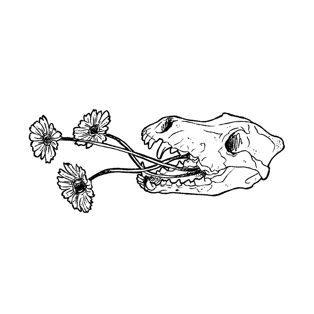 Speak No Evil 6 x 3 in