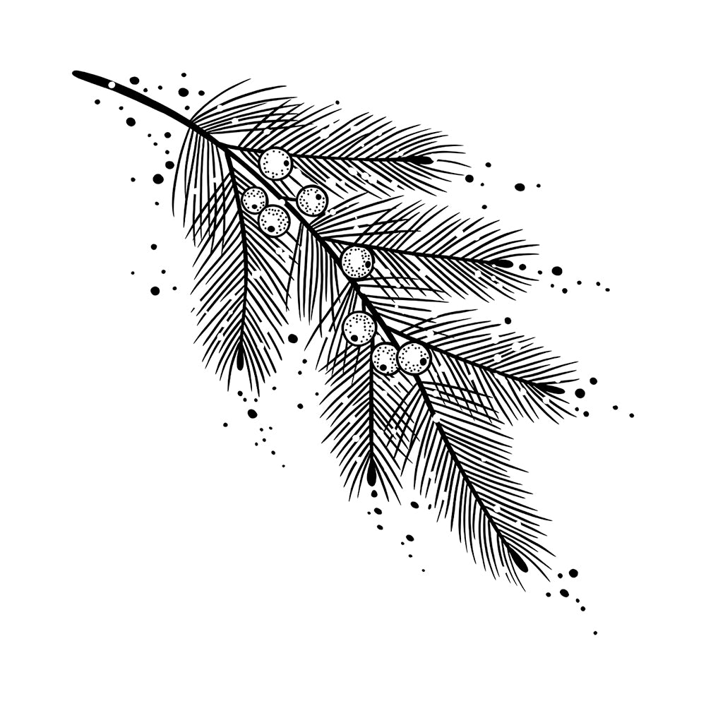 Juniper Frost 4 x 4 in
