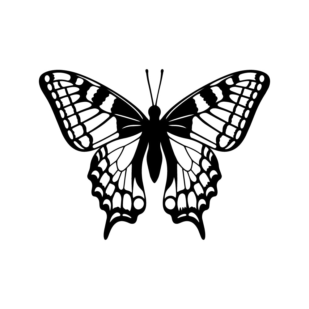 Monarch Muse 2 x 2 in