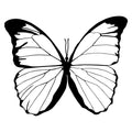 Semi-Permanent - Black Line Only