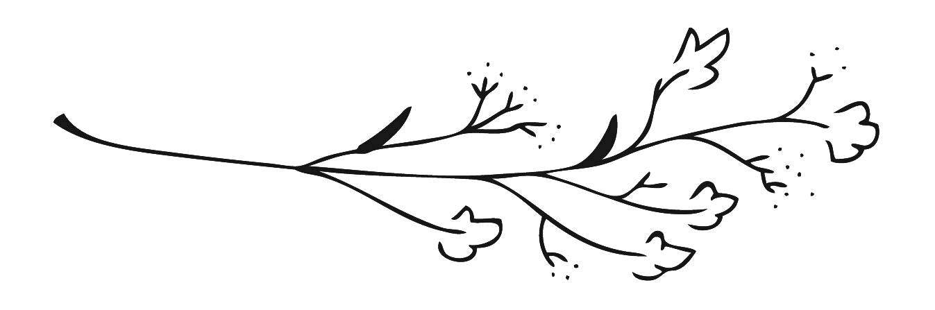 Inkbox - Gossypium