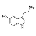 Inkbox - Serotonin