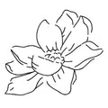 Inkbox - Dahlia