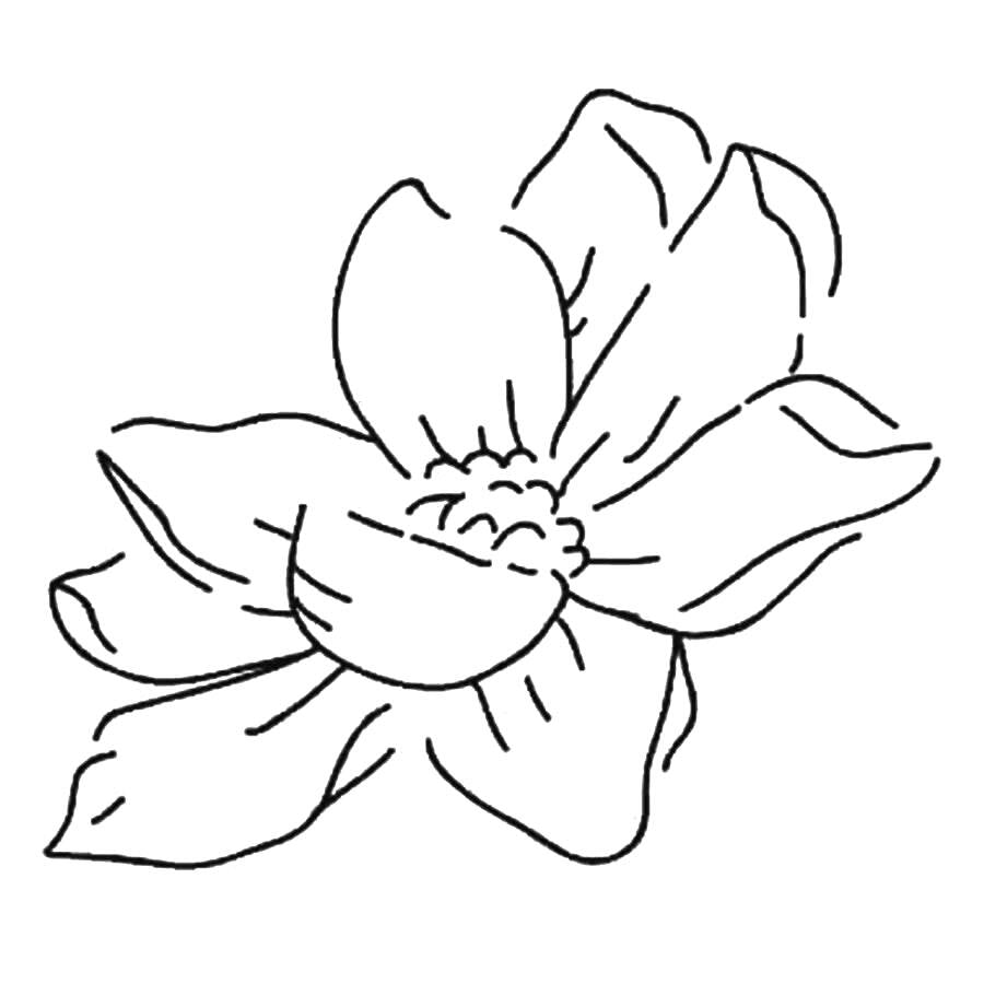 Inkbox - Dahlia